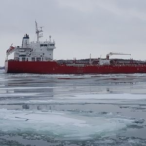 Meet your Posher, Charlie